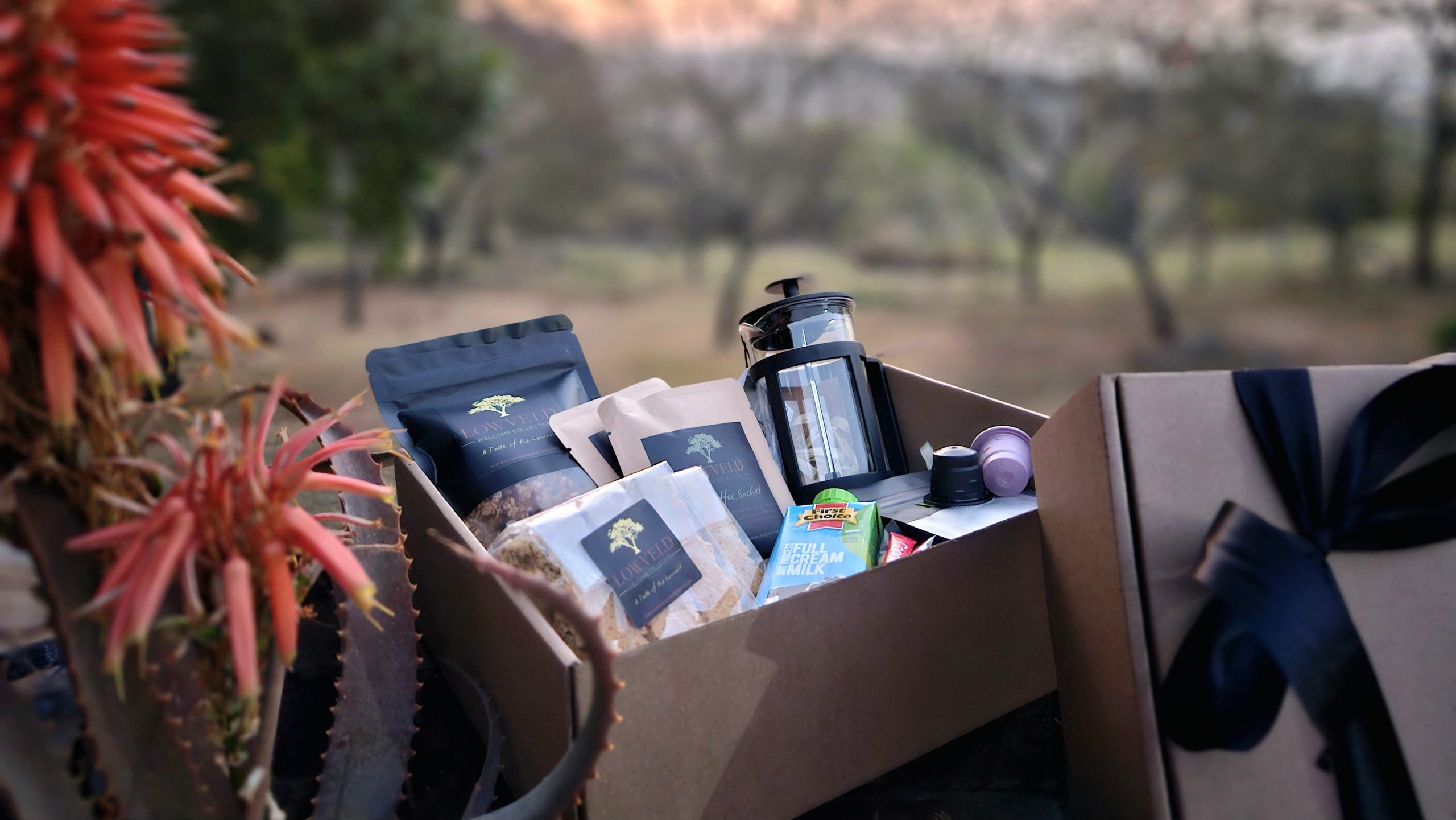 Morning Box - Image 3