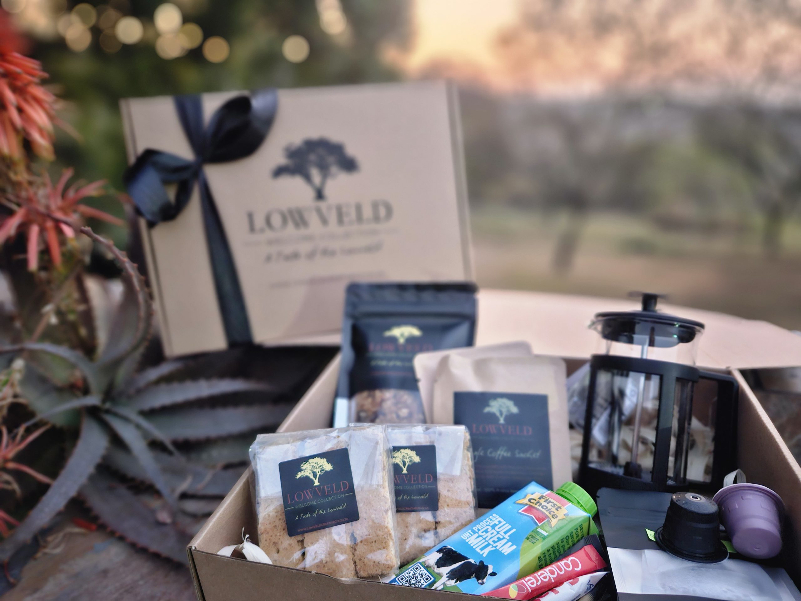 Morning Box
