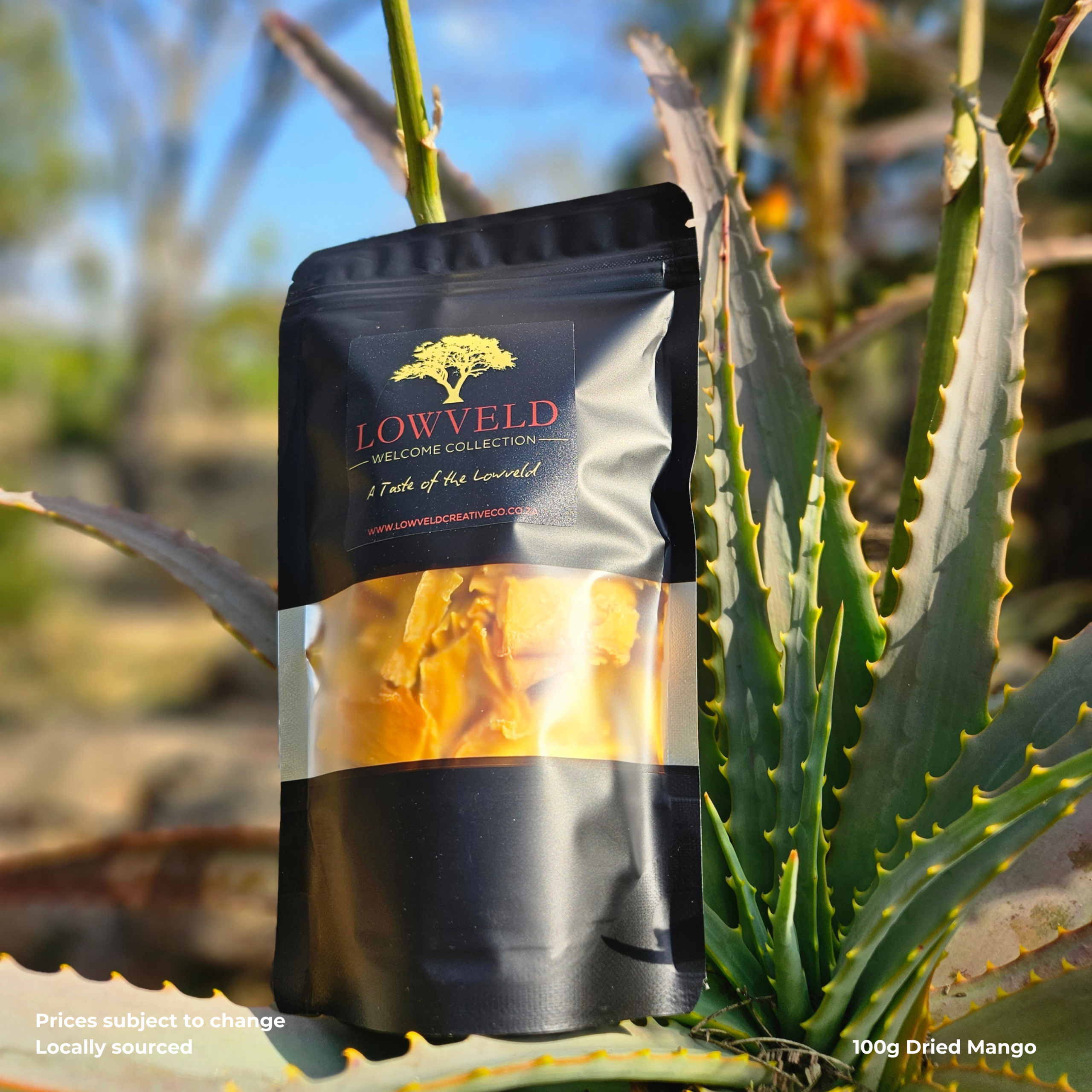 Dried Mango