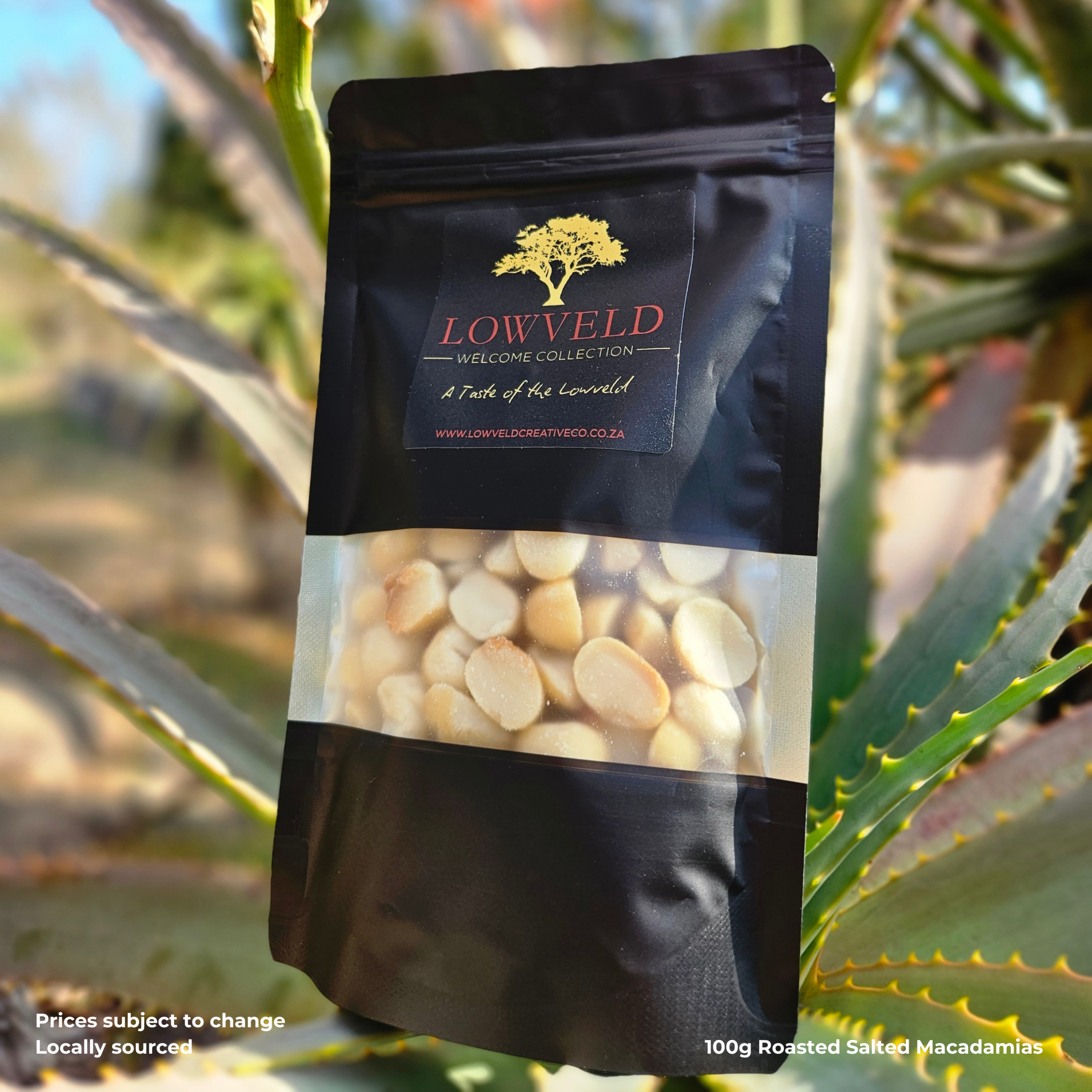 Roasted Salted Macadamia